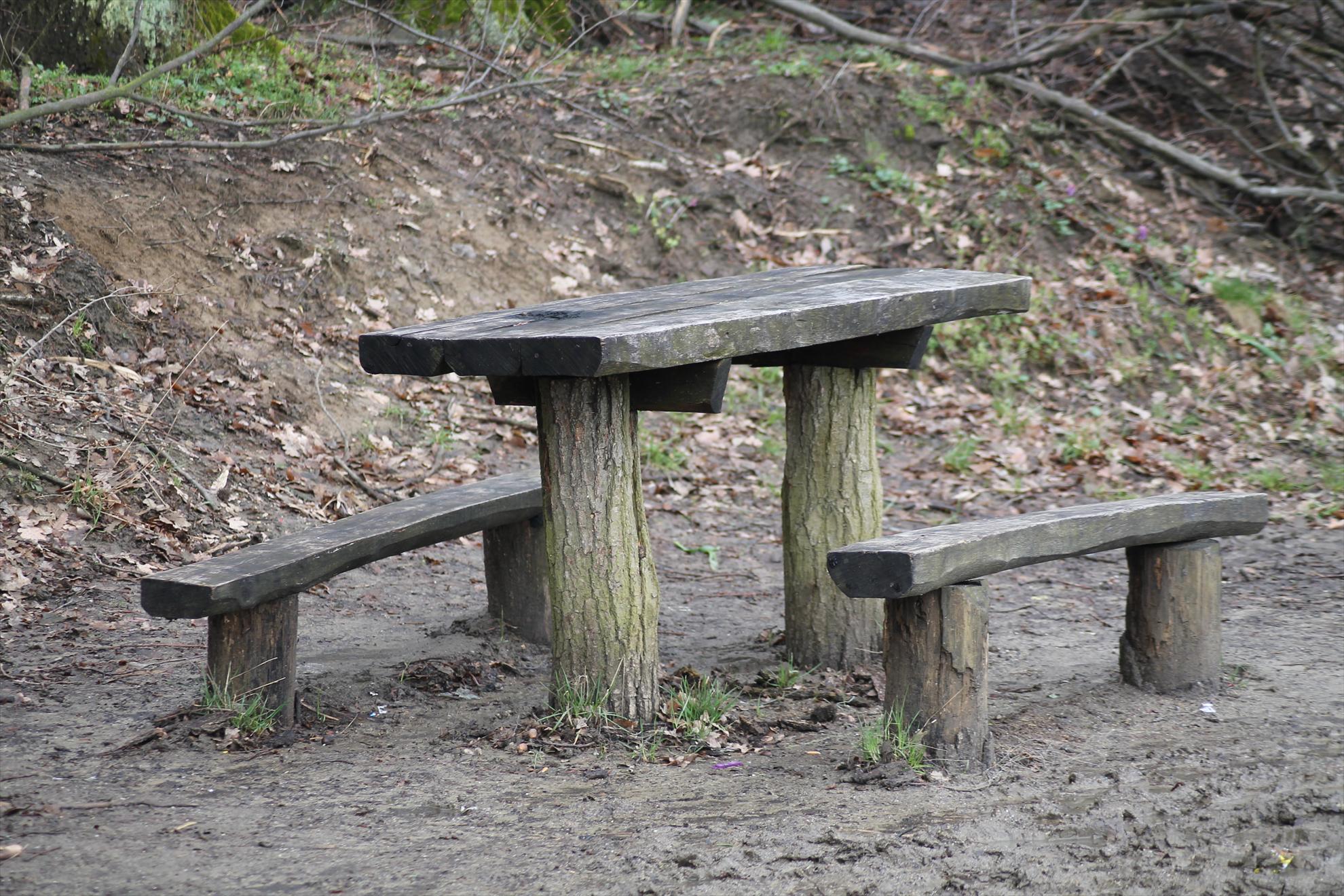 Peisaje... - harsany-aprilie2013-1831.JPG